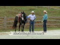 Julie Goodnight: Afraid of My Shadow, Episode 909 of Horse Master for RFD-TV; free sample episode!