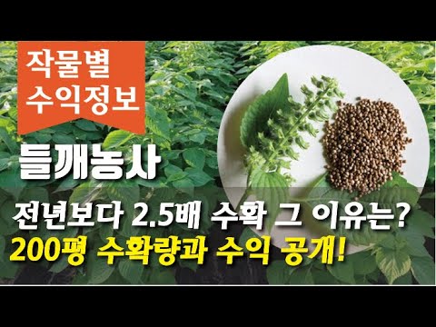 유튜브 미리보기