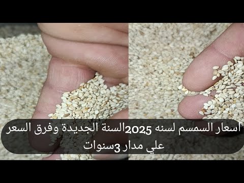 اسعار السمسم لسنه 2025الموسم الجديد وفرق السعر بين سنة 2023وسنه 2024 وسنه 2025