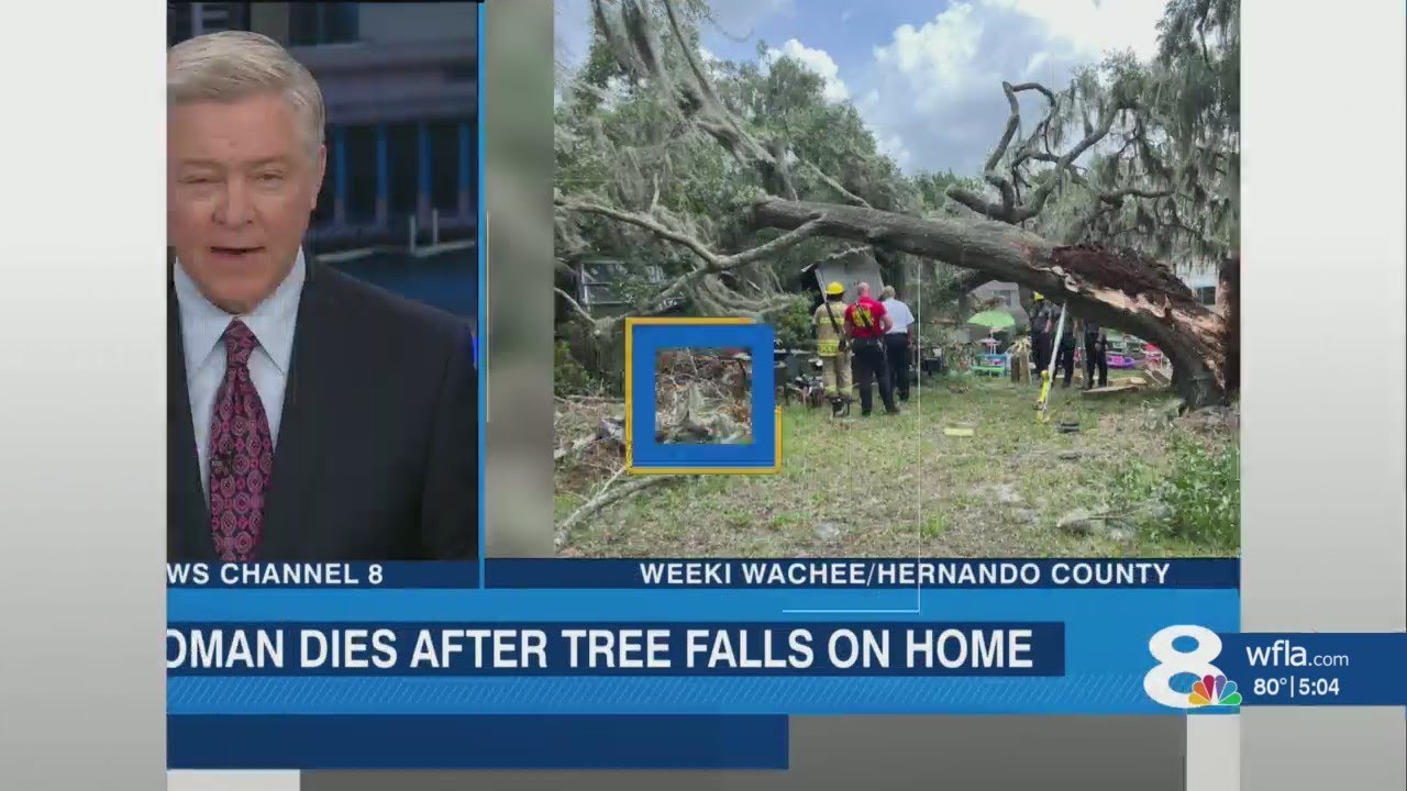 Hernando County woman dies after tree falls on home - YouTube