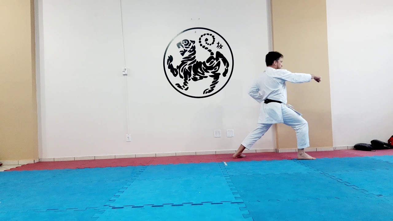 HEIAN SHODAN (1°) DESENVOLVENDO KATA 