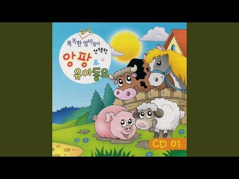요기 저기 (요기 저기)