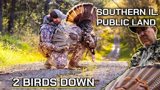 Ultimate Turkey Takedown! Public Land Illinois