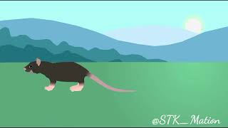 Cat walking animation test