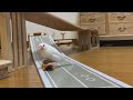 スケボーで遊ぶ文鳥７【Skater of Java sparrow】