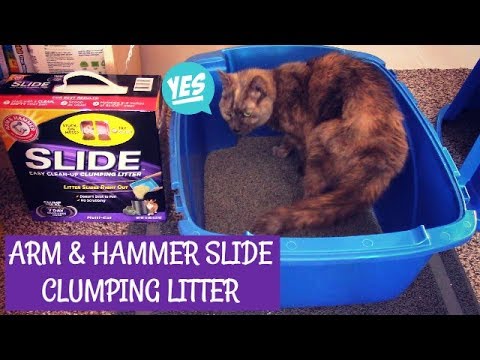 arm-&-hammer-slide-clumping-cat-litter-review-|-smiley360-#ad