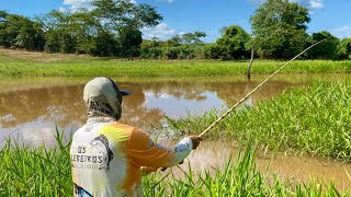 PRIMEIRO DIA PESCA NO MATO GROSSO, PESCAMOS TRAÍRAS É FRITAMOS NA HORA!!!