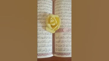 لا تنسى قراءة سورة الكهف اللهم صل على محمد وال محمد🤍🤍❤❤