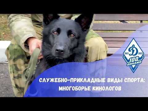 Служебно-прикладные виды спорта: Многоборье кинологов