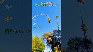 Top 5 WORST Tree Cutting Moments 🌲 #shorts #tiktok #fails