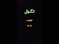 سئلنه الكُره الأرضيه|حيدر البياتي| لطميات |ستوريات انستا |حالات واتس اب| 2022