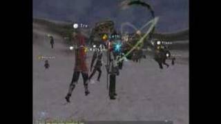 King Vinegarroon Fight