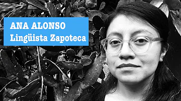 ¿Cómo se desarrollo la cultura zapoteca?