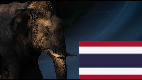泰国历史/History of Thailand - 天天要闻
