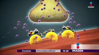 Conoce Los Venenos Mortales De Nuestro Siglo