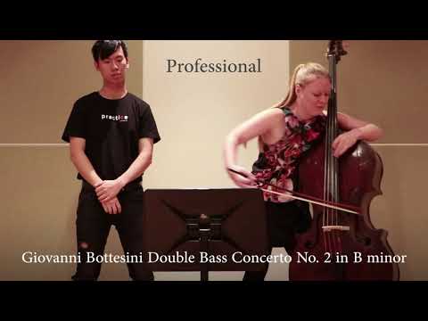 professional-vs-beginner-double-bassist