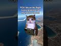 Flight Home Shorts! #viral #classicalmusic #vacationvibes #vacationmode #timetothink #catfunny #cat