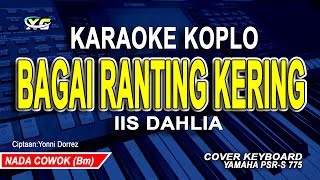 IIS DAHLIA - BAGAI RANTING YANG KERING (KARAOKE KOPLO) NADA RENDAH PRIA