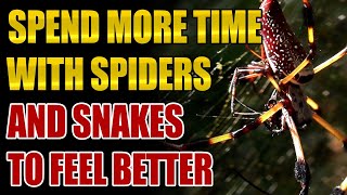 Doing This May Cure Fear Of Spiders, Snakes