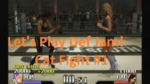 Def Jam Vendetta Playthrough Part 5 - Cat Fight 1