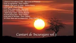 Cantari de incurajare - Vol 3 Speranta si Prietenii, Puiu Chibici, Ionica Stoica si altii