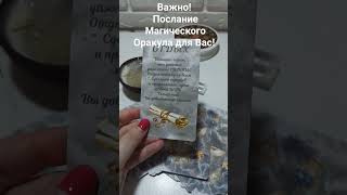 Послание Магического Оракула для Вас здесь и сейчас! 🔮💌