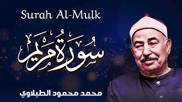 تلاوة نادرة تهز القلب وتغسل الهموم من صدرك