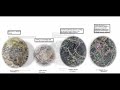 True Everything Size Comparison Cooperation Universe Part 1269