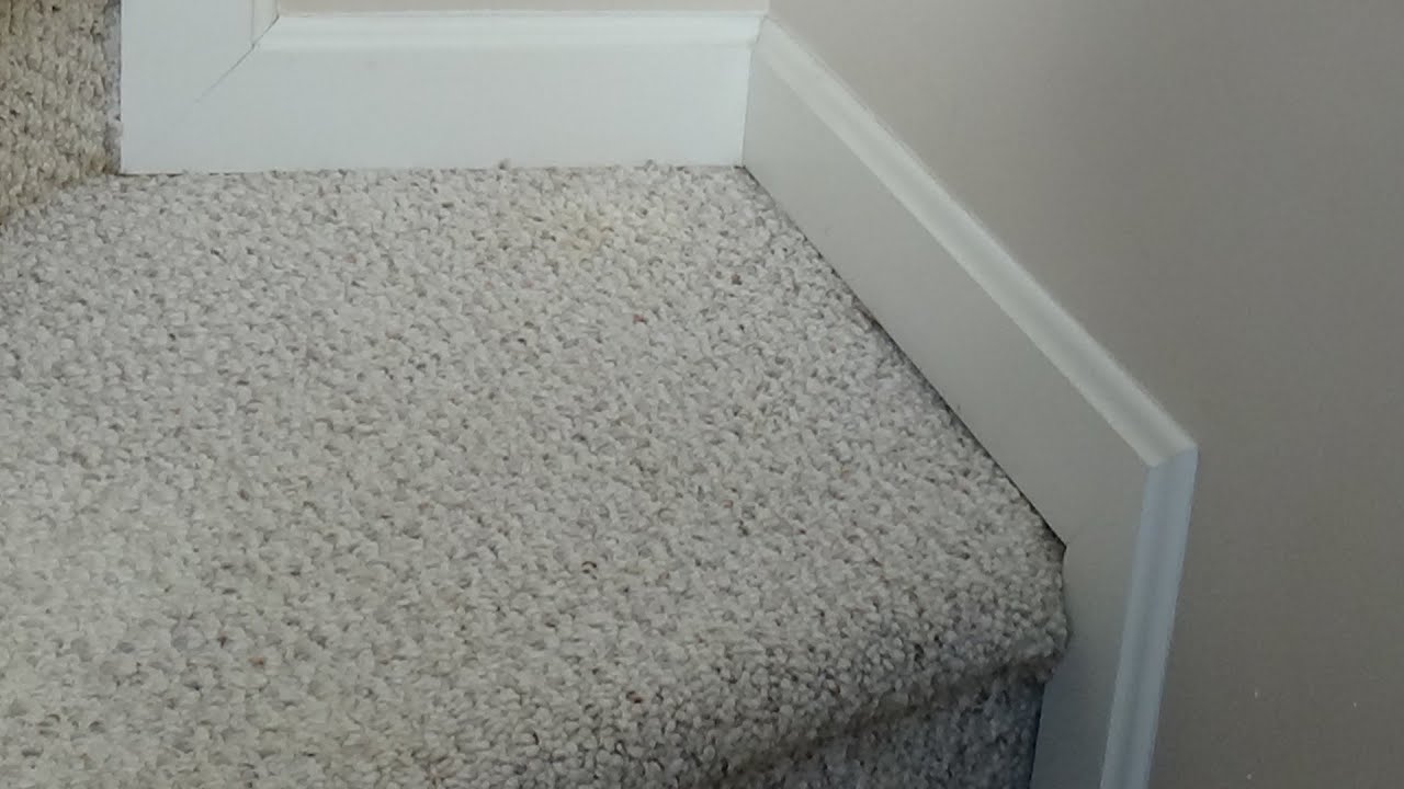 Cleaning cat puke on 24 yr old rug