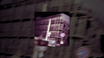 "Wormwood" - Camelidea