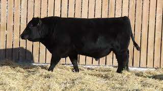 Lot 81 - Greenwood Big River 186L