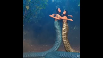 Nagin 6| 🐍🙏 mahek and mahek|#subscribe #trending #video #live #love #nagin #snake #viral #colours