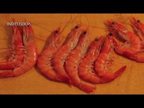 Seafood Porn - Momoko Seto