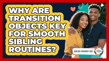 Why Are Transition Objects Key For Smooth Sibling Routines? - Sibling Harmony Hub