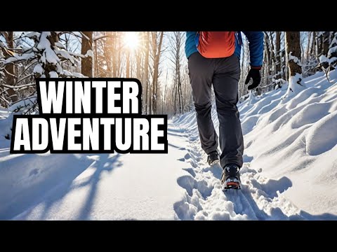 Capa de Exploring Lincoln Meadows: A Relaxing Winter Wonderland Adventure