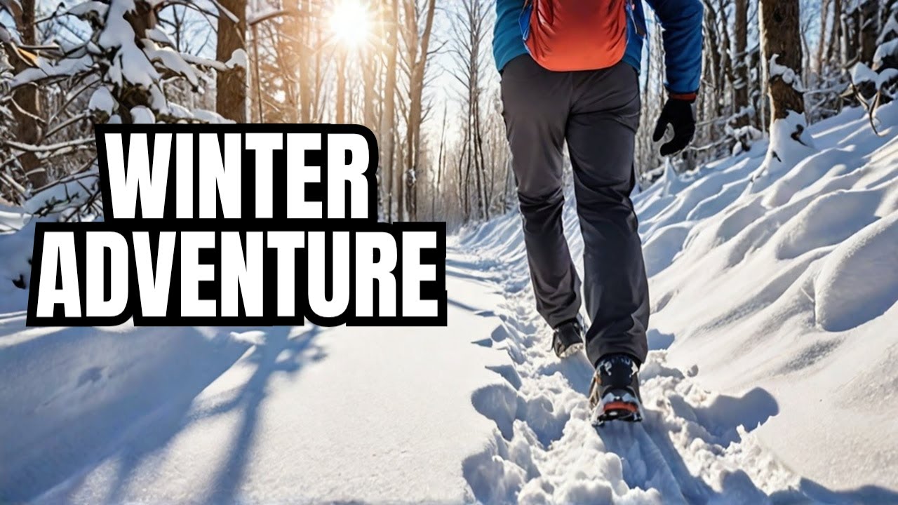 Exploring Lincoln Meadows: A Relaxing Winter Wonderland Adventure