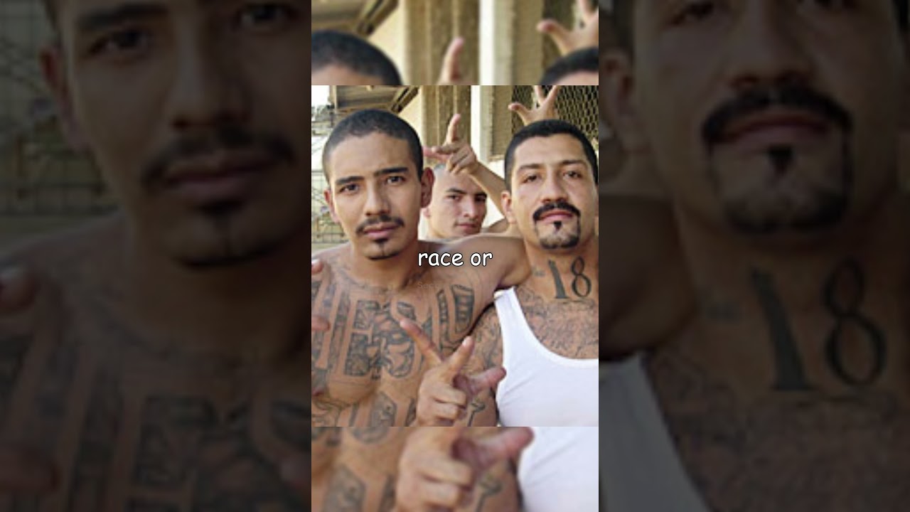 This Is How the 18th Street Gang Became One of the Most Dangerous in America