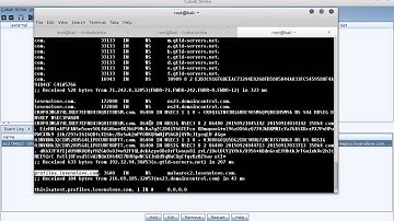 DNS Beacon Setup and Use