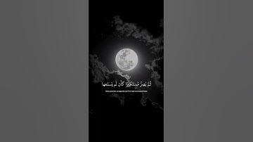 اكتب شيء تؤجر عليه 🤎🎧 / القارئ ياسر الدوسري