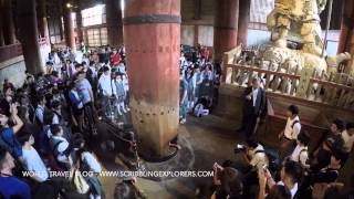 Todaiji Temple - Crawling Through The Nostril
