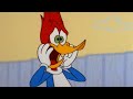 1 Hora de Pica-Pau | Um Grande Engano | Desenhos Animados em Português
