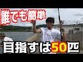 夏になると大量に釣れるあの魚を釣ろう！