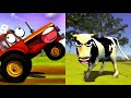 El Tractor y El Pollito 🚜🐤 Canción de La Vaca Lola 🐄🤣 Granja de Zenón 🌈✨