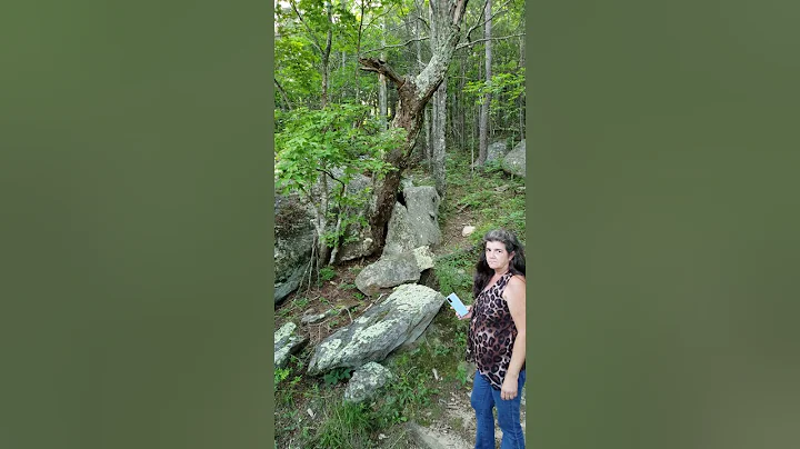 Janice Carter Bigfoot Tree Knocks