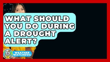 What Should You Do During A Drought Alert? - Weather Watchdog