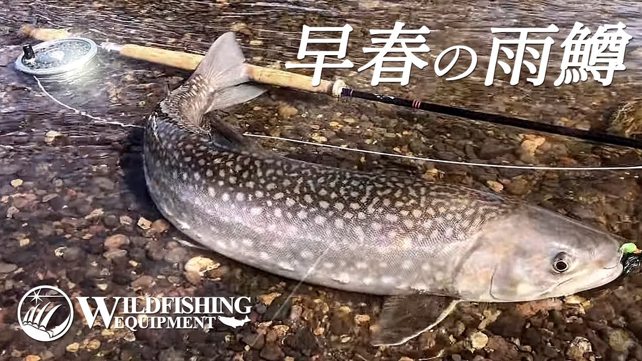 北海道 早春のアメマス ルアー フライフィッシング Youtube