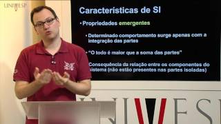 Sistemas de Informação - Aula 2 - Características de sistemas de informação