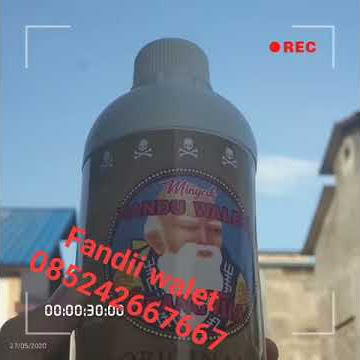 Respon Candu walet Cap Orang Tua Original
