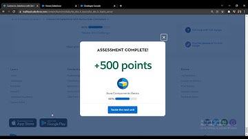 Salesforce Trailhead - Connect to Salesforce with Server-Side Controllers