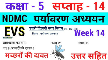 NDMC Class 5 EVS Week 14 Worksheet 14 (1/9/21) || पर्यावरण अध्ययन सप्ताह 14 Class 5th Week 14